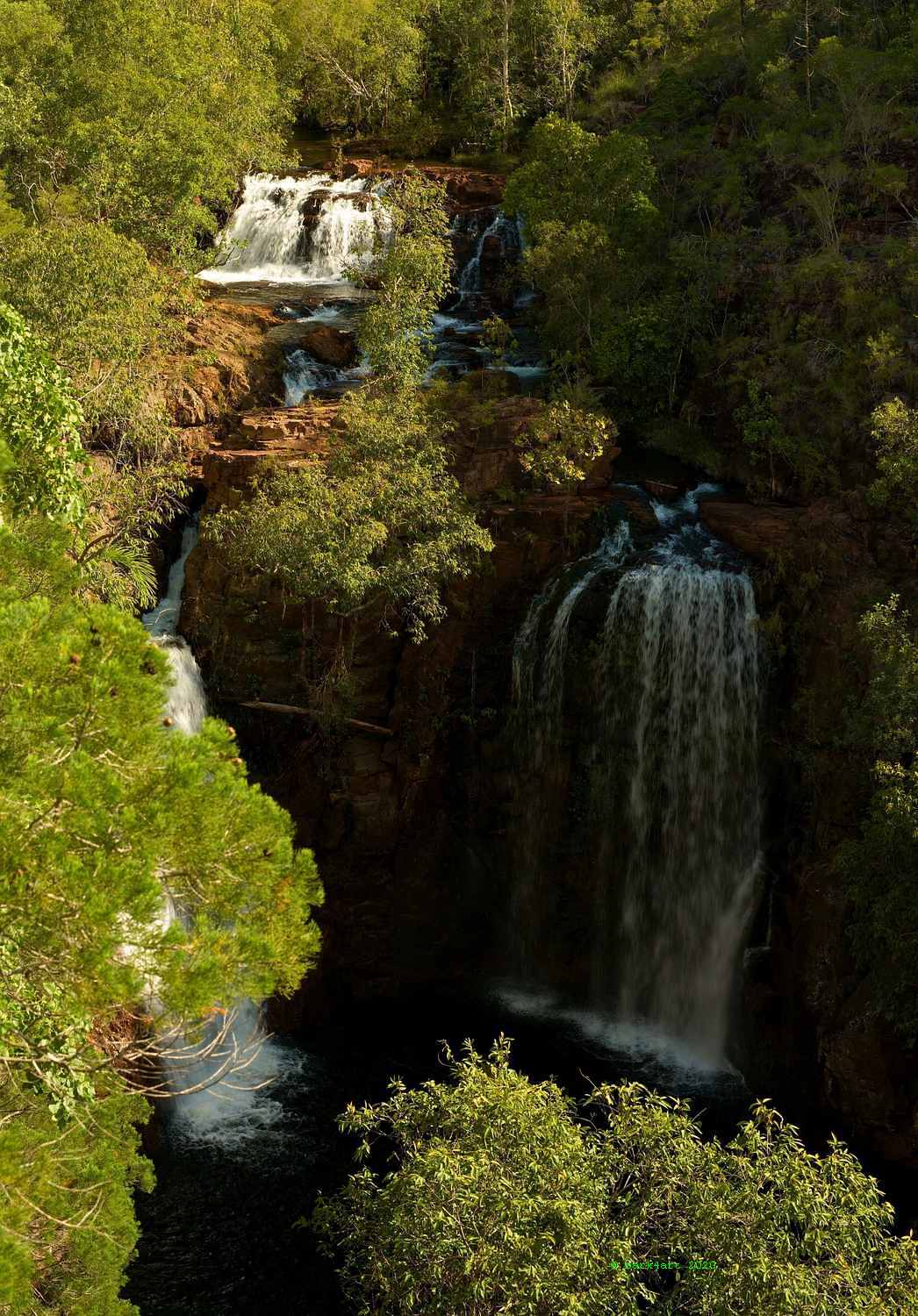 art de TREEomphe - Florence Falls, Litchfield National Park, Northern Territory