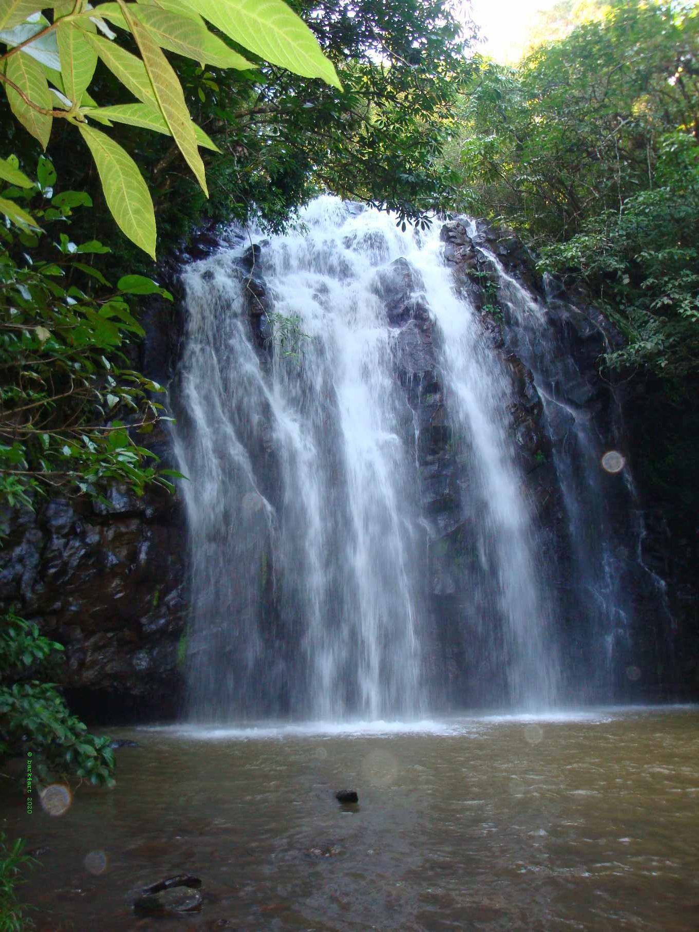 art de TREEomphe - Tropical Waterfall, Far North Queensland