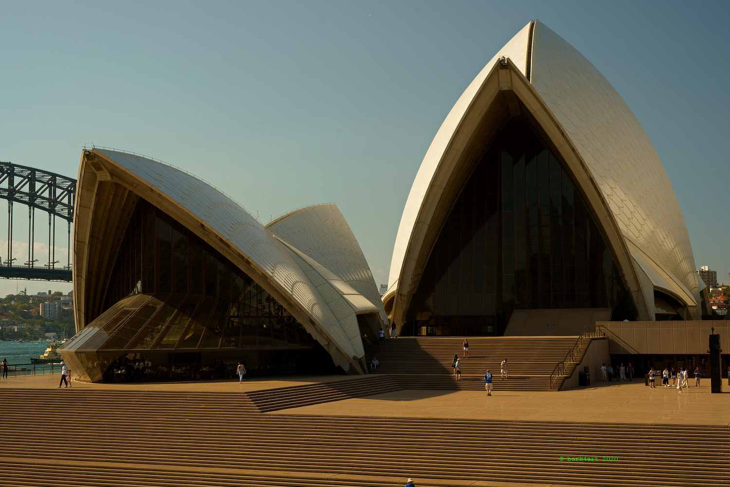 art de TREEomphe - Sydney Opera House & Bridge, NSW