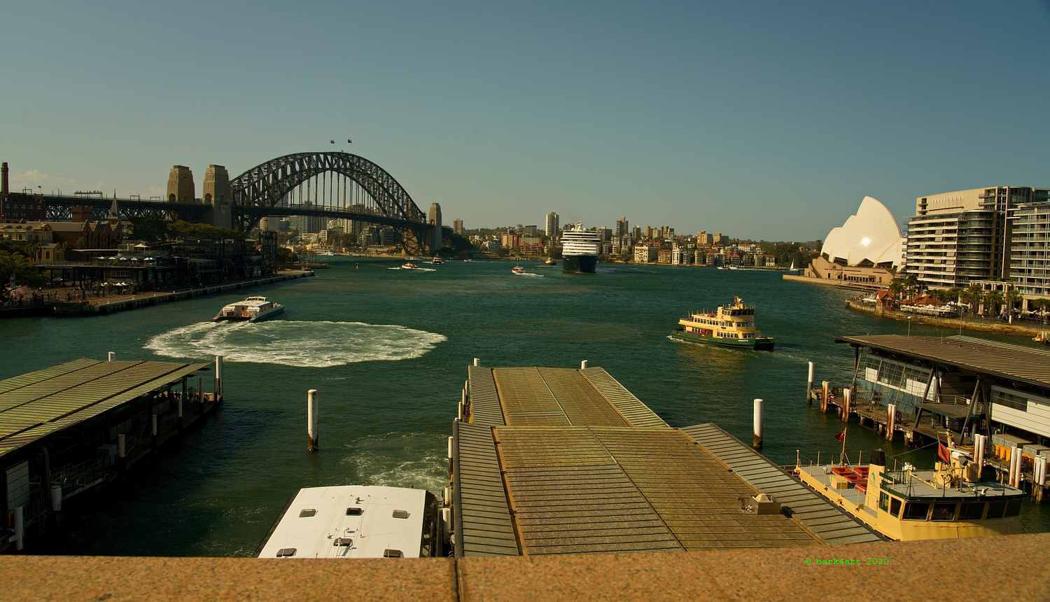 art de TREEomphe - Circular Quay, Sydney Harbour, NSW